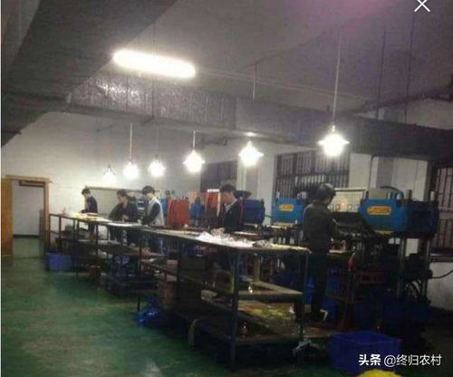 想在农村投资10 20万开个加工厂,雇佣10个帮工,做什么产品有前景