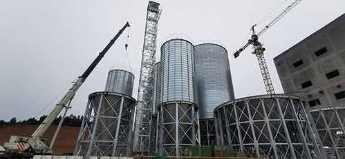 苍溪县总投资1.2亿元饲料加工厂预计二季度试生产
