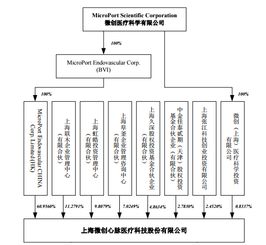 心脉医疗拟科创板上市 股东中有哪些上市公司身影