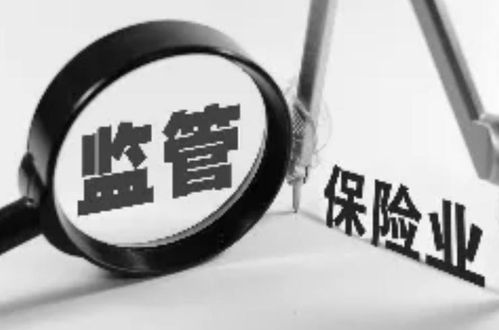 保险资产管理公司的资产管理 角色、挑战与发展趋势