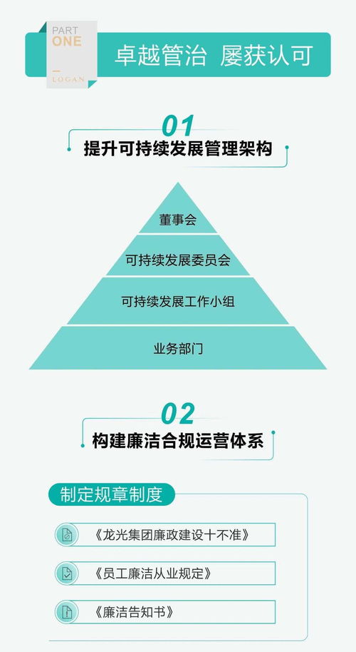 一图读懂龙光集团（03380）2020年度ESG报告 投资管理