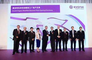 数千万欧元投资驱动新工厂投产，赢创以资产管理策略巩固有机硅表面活性剂全球领先地位